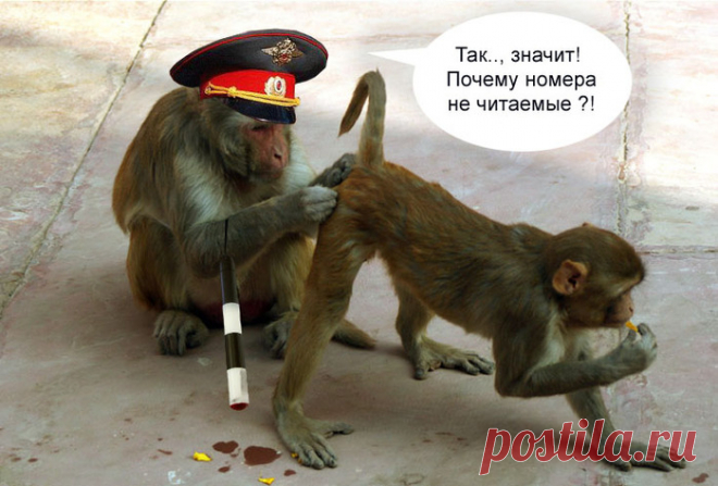 Всё как и всегда - с этими приколами вы отдохнете от всех проблем! 
Отличный юмор с просторов интернета. Рекомендую к просмотру!
 

 

 

 

 

 

 

 

 
 
 
 
 

 

 

 

 

 
