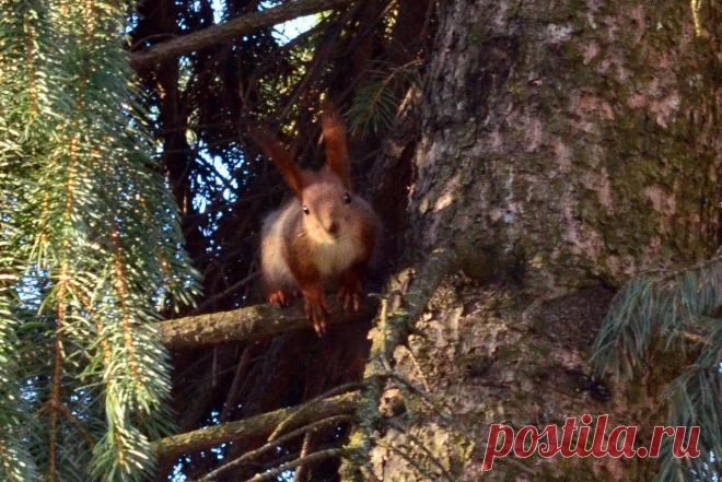 А кто тут на меня смотрит?))