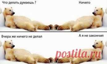 Правда жизни. Цитаты, мысли. – Google+