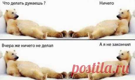 Правда жизни. Цитаты, мысли. – Google+
