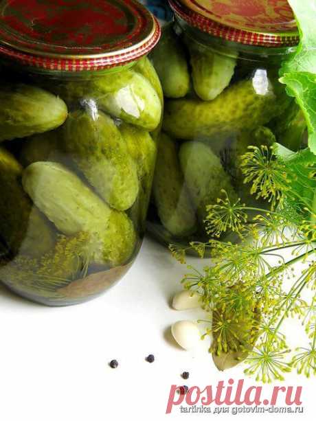 &quot;Детские&quot; маринованные огурчики.