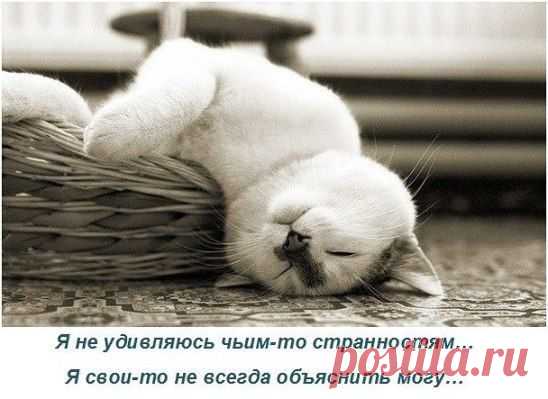 Помощь психолога - это, конечно, хорошо! Но поорать  - гораздо дешевле...))))