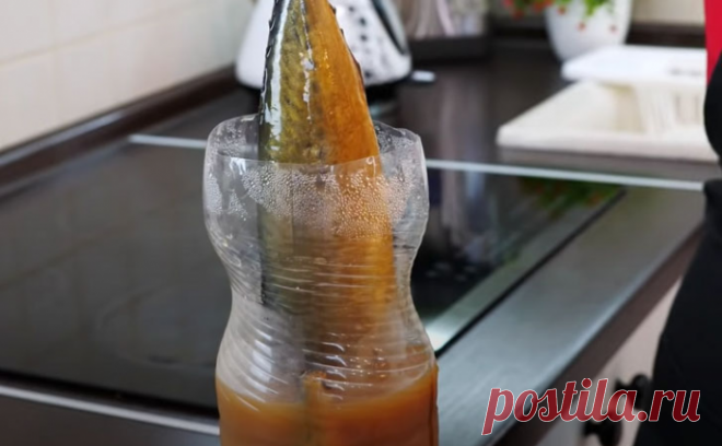 Копченая скумбрия из бутылки. Смешиваем чай с луковой шелухой и получается как с костра