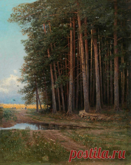 Маковская Александра Егоровна (1837—1915)
«Сосновая роща», 1887