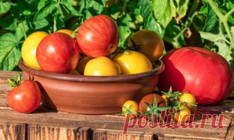 От чего зависит вкус томатов
