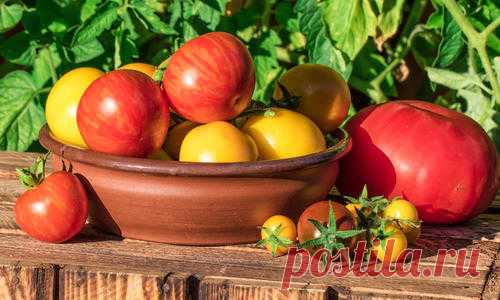 От чего зависит вкус томатов