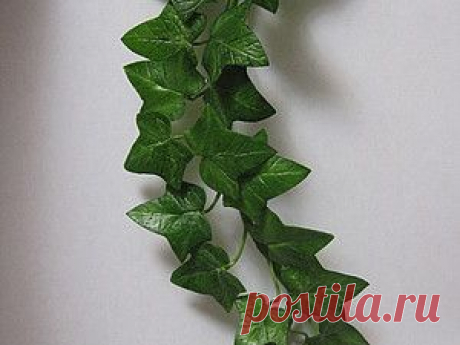 Плющ из холодного фарфора. МК Марии Баженовой (mariyaiv)