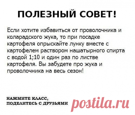 Чтобы не потерять эту информацию, жмите &quot;Класс!&quot; и &quot;Поделиться&quot;
