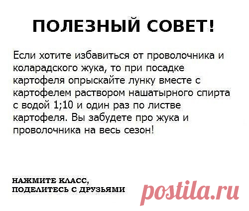 Чтобы не потерять эту информацию, жмите 