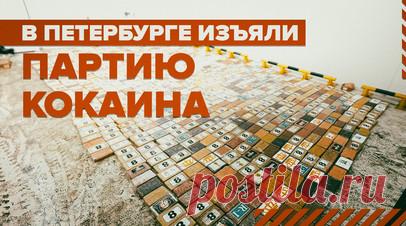 Таможенники нашли более 1,2 тонны кокаина в Большом порту Санкт-Петербурга — видео. Сотрудники Федеральной таможенной службы изъяли более 1,2 тонны кокаина в Большом порту Санкт-Петербурга. Контрабанду обнаружили при сканировании контейнера из Бельгии. Инспекторы заметили, что среди мешков с кофе разбросаны брикеты с белым порошком. Стоимость такой партии наркотика на чёрном рынке превышает 13 млрд рублей. Возбуждено уголовное дело. Читать далее