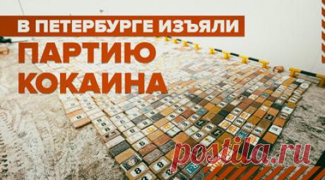 Таможенники нашли более 1,2 тонны кокаина в Большом порту Санкт-Петербурга — видео. Сотрудники Федеральной таможенной службы изъяли более 1,2 тонны кокаина в Большом порту Санкт-Петербурга. Контрабанду обнаружили при сканировании контейнера из Бельгии. Инспекторы заметили, что среди мешков с кофе разбросаны брикеты с белым порошком. Стоимость такой партии наркотика на чёрном рынке превышает 13 млрд рублей. Возбуждено уголовное дело. Читать далее