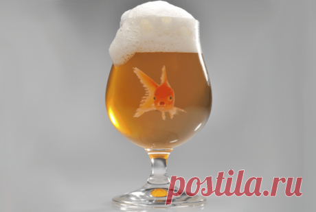 Из замухрышек в красотки: как алкоголь меняет восприятие женщин мужчинами