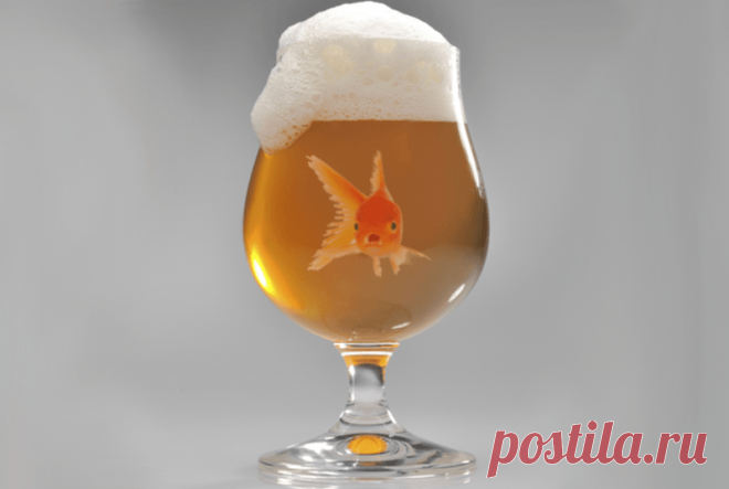 Из замухрышек в красотки: как алкоголь меняет восприятие женщин мужчинами