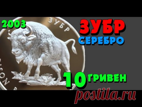 Зубр,  10 гривен, серебро, 2003 год (Обзор монеты) - YouTube