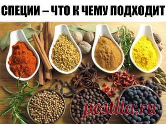 СПЕЦИИ – ЧТО К ЧЕМУ ПОДХОДИТ

ДЛЯ МЯСА: красный, черный, душистый перец или гвоздика, майоран, тимьян, тмин, куркума, лук, орегано.

ДЛЯ ПТИЦЫ: тимьян, майоран, розмарин, шалфей, чабрец, базилик.

ДЛЯ РЫБЫ: лавровый лист, белый перец, имбирь, душистый перец, лук, кориандр, перец чили, горчица, укроп, тимьян.

ДЛЯ ГРИЛЯ: красный перец, душистый перец, кардамон, тимьян, майоран, мускатный орех и мускатный цвет, тмин, имбирь, перец чили.

ДЛЯ ДИЧИ: тимьян, душица обыкновенная...