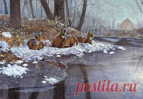 Jim Hansel Editions, LLC. Creekside