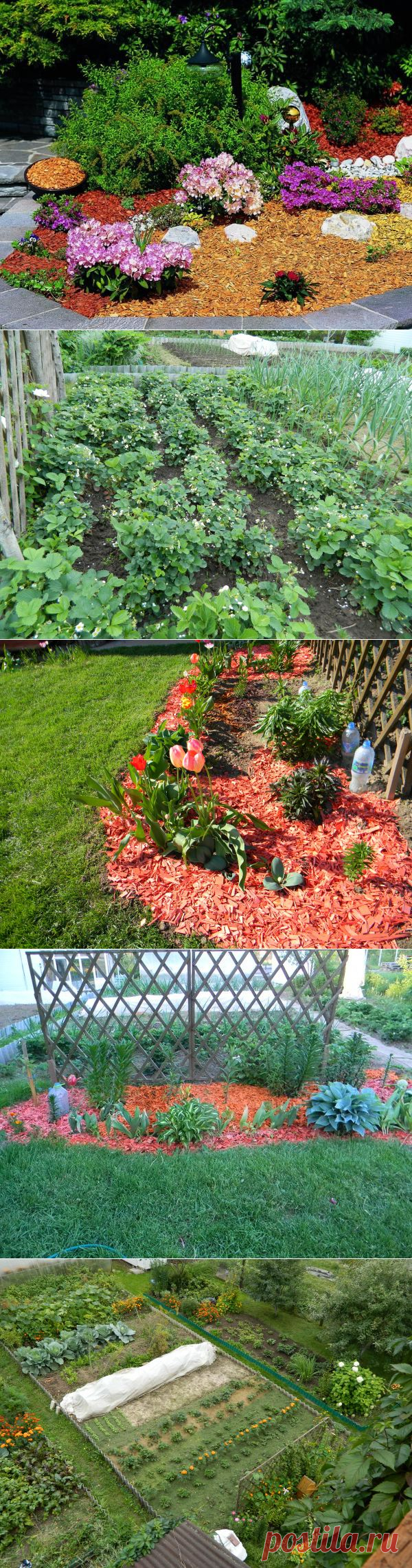 Удачные виды мульчи для сада и огорода | Самоцветик