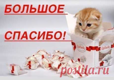 Исцеляющая медитация &quot;Внутренняя улыбка&quot;.