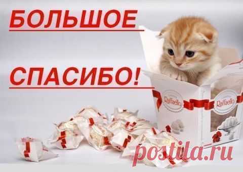 Исцеляющая медитация "Внутренняя улыбка".