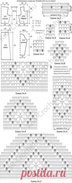 (6) Facebook