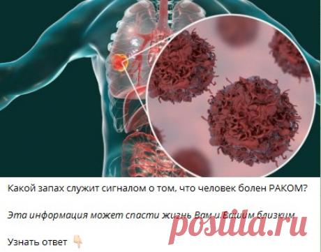 Какой запах служит сигналом о том, что человек болен РАКОМ?

Эта информация может спасти жизнь Вам и Вашим близким 

🔘 запах ацетона
🔘 запах плесени
🔘запах тухлого мяса
🔘 запах кислого сыра
Узнать ответ 👇🏻 

Ответ в телеграм канале &quot;Интересные Викторины с ответами&quot;
Каждый день новые  Викторины
ссылка в описании