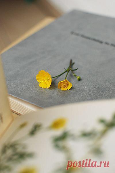 Именно в мелочах и скрывается настоящая нежность.

Алекс Кош