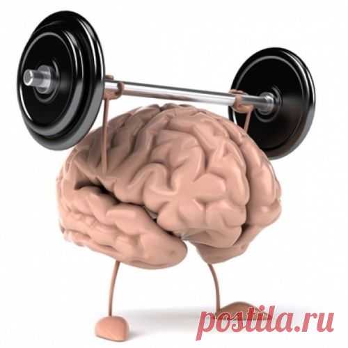 Как сохранить мозг молодым
