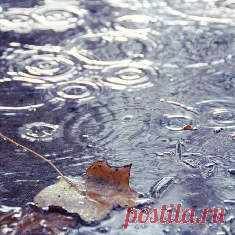 Susanna Dean приколол(а) это к доске Rain