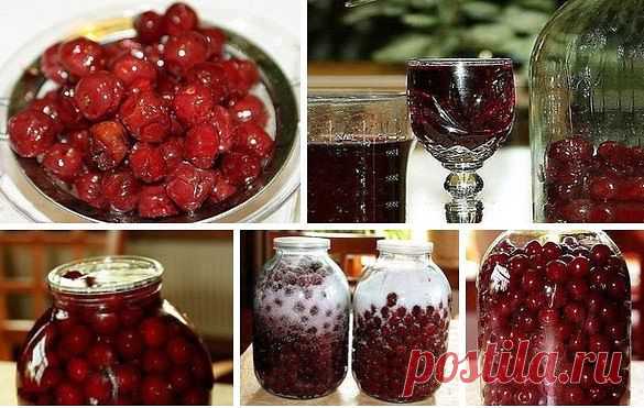 ВКУСНЕЙШИЙ и БЫСТРЕЙШИЙ Вишневый Ликер
===================================================
Для приготовления вишневого ликера применяются полностью вызревшие ягоды вишни, причем вместе с косточкой. Примечательно то, что при настаивании ядро косточки дарит напитку горьковатый привкус наряду с ароматом миндальных орехов.
Состав: вишня 3 кг. сахар 2 кг. водка 1 лтр.
Приготовление: созрела вишня. Отбираем самую вкусную, самую зрелую. Моем перебираем – испорченных ягод не должн...