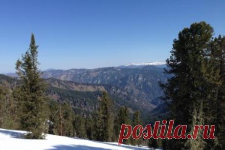 Фотогалерея