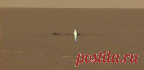 Кого увидел марсоход «Curiosity»?