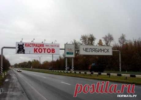 Прикольные картинки с надписями. Внимание. Смешно.