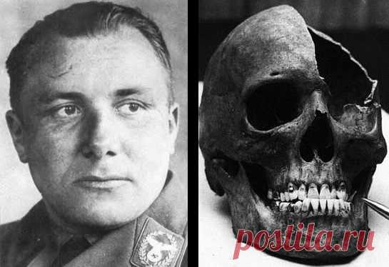 Мартин Борман - советский шпион? Тайны века (Россия) 2004  в хорошем качестве