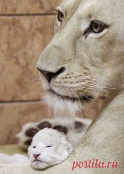 TH3 KINGDOM's (@th3kingdom) Photos