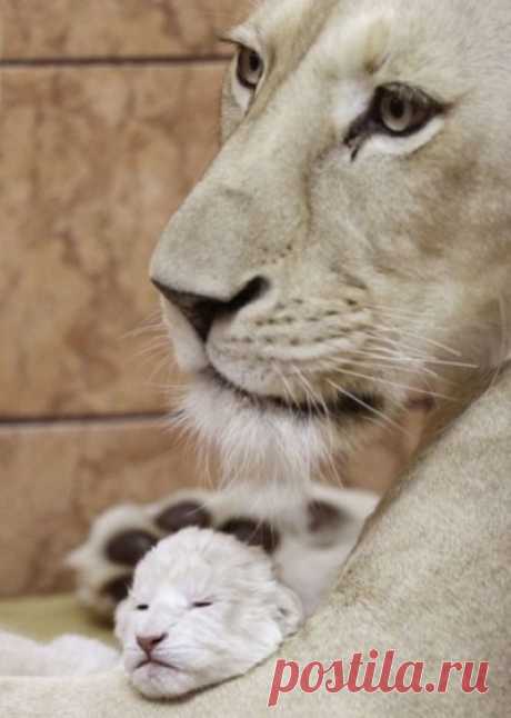 TH3 KINGDOM's (@th3kingdom) Photos