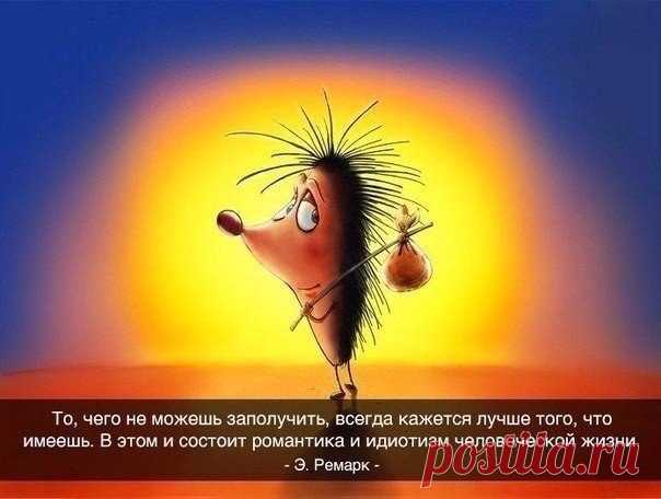 РОЗОВОЕ НАСТРОЕНИЕ - 28 фото. Фотографии Тамара Колинченко.