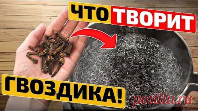 РАК, грибок, тромбы, паразиты, мокрота, очищение крови и даже сила мужская! Что натворит гвоздика