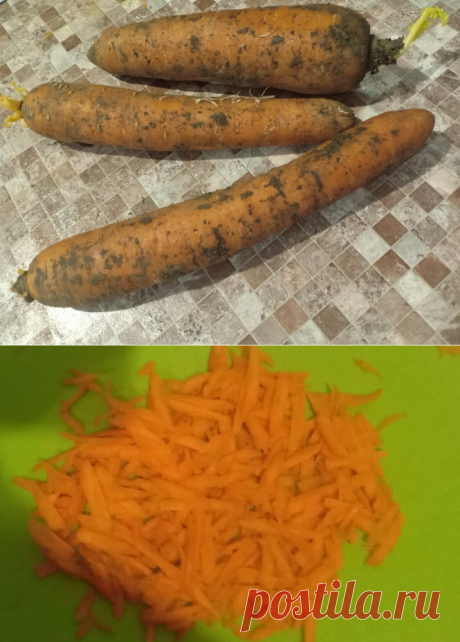 Морковь! Корнеплод, который полезен практически каждому, убедился в этом на собственном опыте | Готовить-гениально просто | Яндекс Дзен