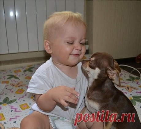 - Ты меня любишь? ... Вижу - любишь... И я тебя...