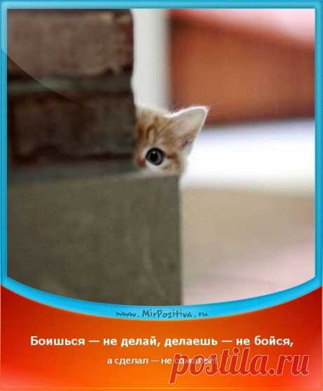 Найди меня...