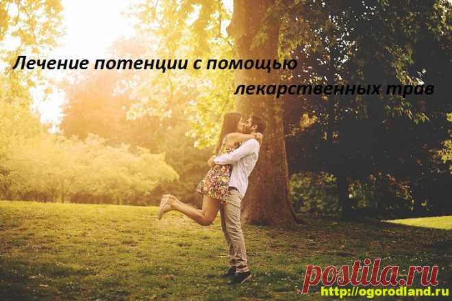 Лечение потенции с помощью лекарственных трав   Давайте разберемся с причинами возникновения половой дисфункции. Как можно повысить