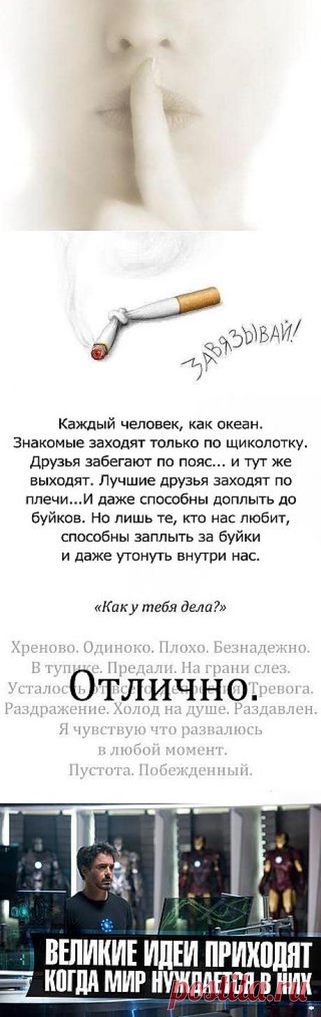Коротко о Главном ✔