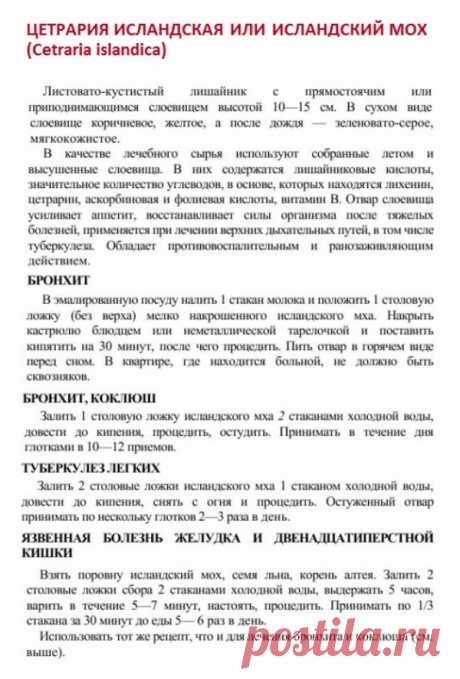 Цетрария исландская или исландский мох.
Травник. Золотые рецепты народной медицины. Универсальный справочник. Москва 2007