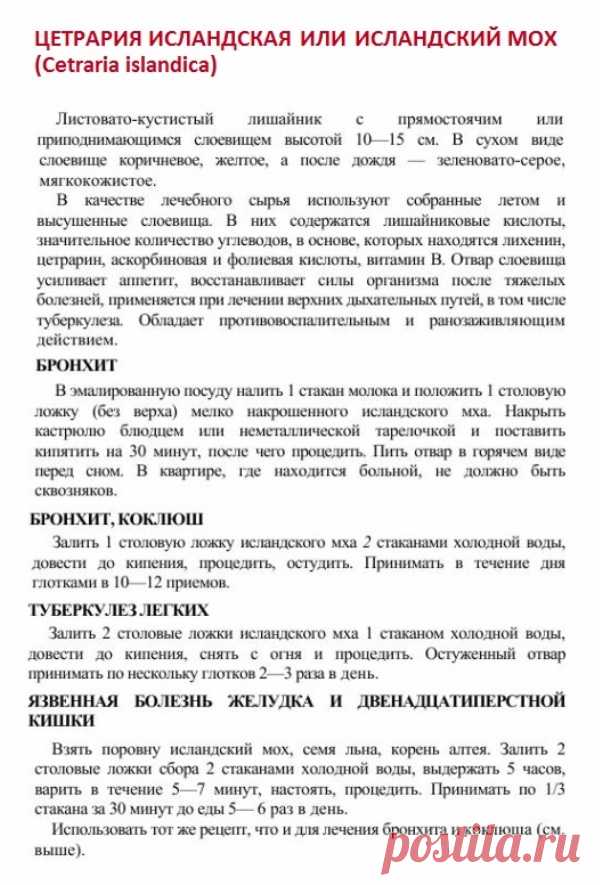Цетрария исландская или исландский мох.
Травник. Золотые рецепты народной медицины. Универсальный справочник. Москва 2007