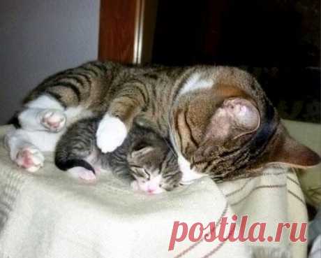 (1) Facebook
