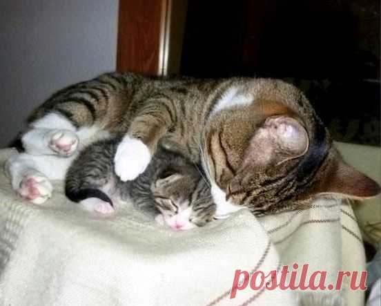 (1) Facebook