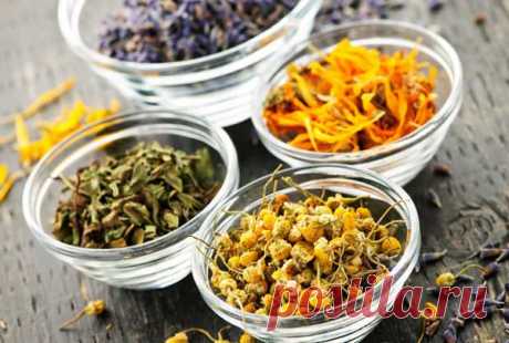 РАСТЕНИЯ-ИММУНОМОДУЛЯТОРЫ
#детокс #похудение #здоровье #ЮлияЧернобаева #YuliaChernobaeva

Иммунитет – это комплексная реакция организма, направленная на защиту его от внедрения генетически чужеродного материала. Существует ряд препаратов (иммуномодуляторов), содержащих как синтезированные, так и естественные природные вещества, повышающие силу иммунитета.

Шатавари. Подобно ашвагандхе, ее обычно принимают с горячим молоком, подслащенным медом или нерафинированным сахаром. ...