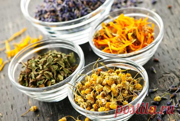 РАСТЕНИЯ-ИММУНОМОДУЛЯТОРЫ
#детокс #похудение #здоровье #ЮлияЧернобаева #YuliaChernobaeva

Иммунитет – это комплексная реакция организма, направленная на защиту его от внедрения генетически чужеродного материала. Существует ряд препаратов (иммуномодуляторов), содержащих как синтезированные, так и естественные природные вещества, повышающие силу иммунитета.

Шатавари. Подобно ашвагандхе, ее обычно принимают с горячим молоком, подслащенным медом или нерафинированным сахаром. ...