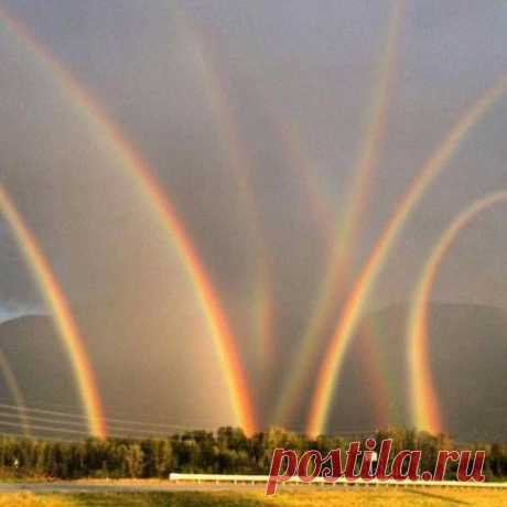KZTKAJ7xcgE.jpg (600×600)
