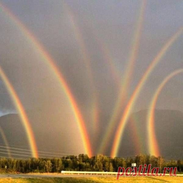 KZTKAJ7xcgE.jpg (600×600)